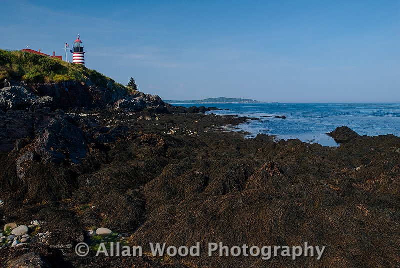 West Quoddy Head ME LH2926.jpg